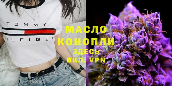 тгк Володарск