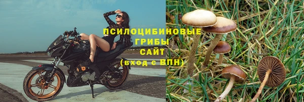 крисы Волоколамск
