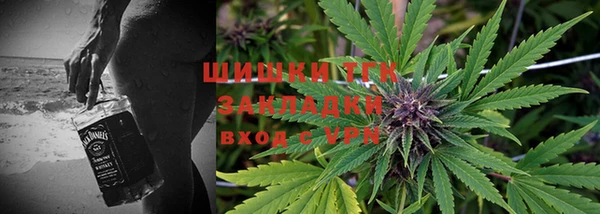 тгк Володарск