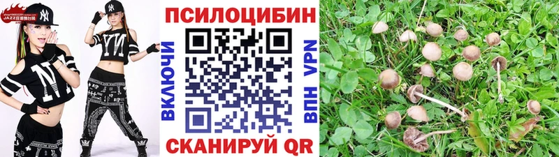 Купить где  Киреевск  Псилоцибиновые грибы MAGIC MUSHROOMS 